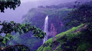 IMG-20240517-WA0011