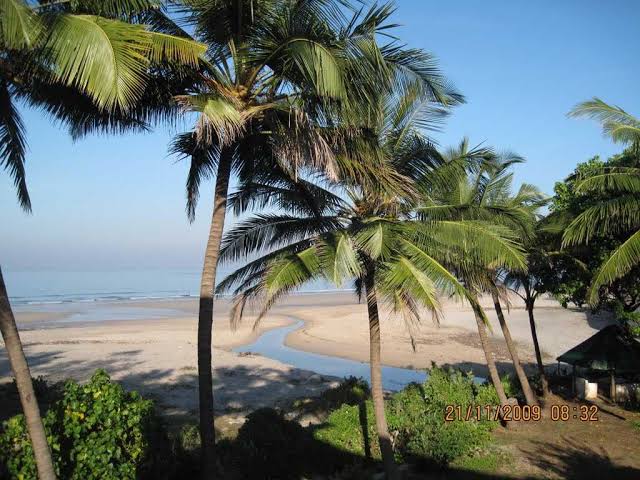 IMG-20240517-WA0021